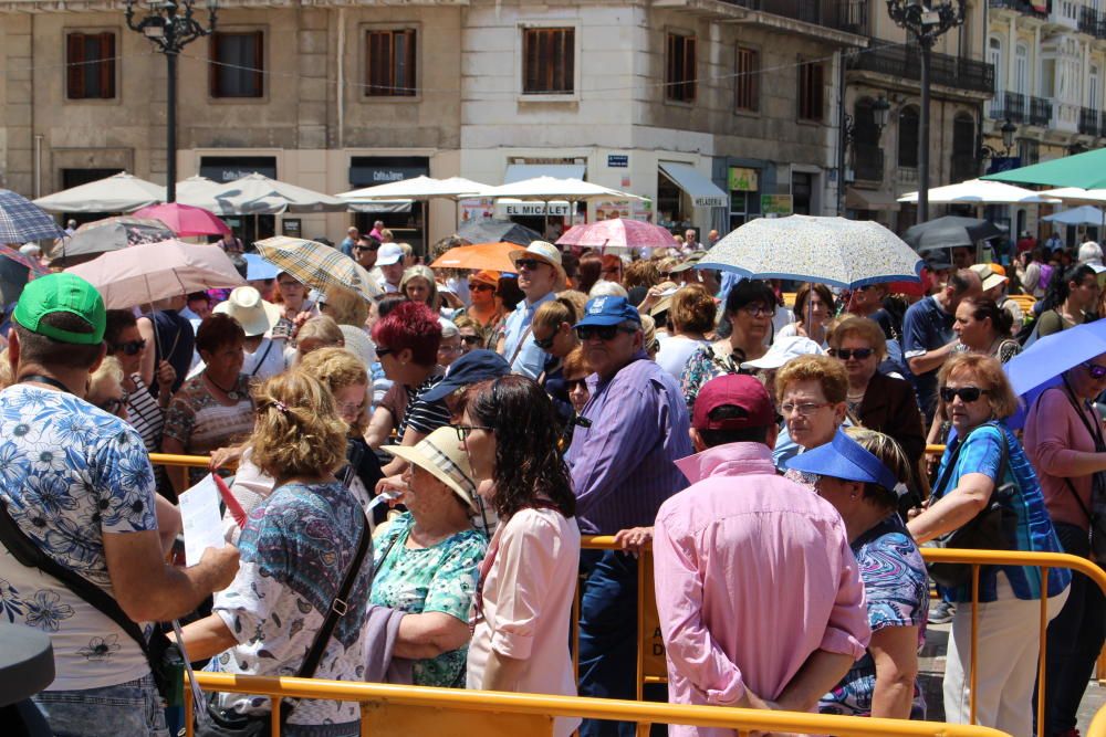 Besamanos a la Virgen de los Desamparados