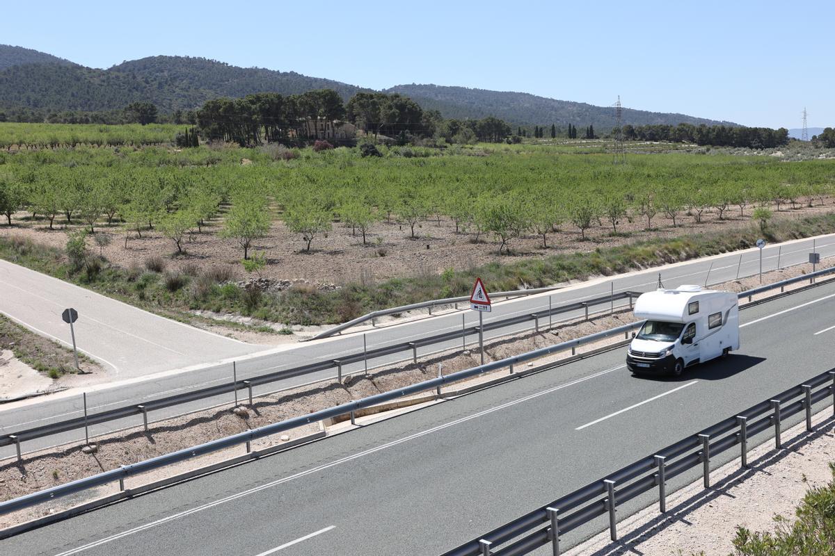 Otra vista de los terrenos, situados junto a la autovía A-7.