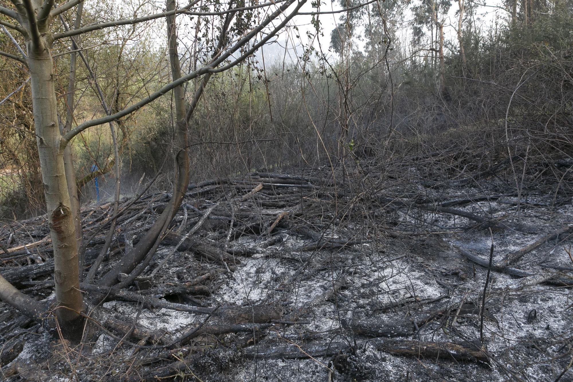 El fuego llega a la comarca de Avilés y se adentra en la Plata (Castrillón)