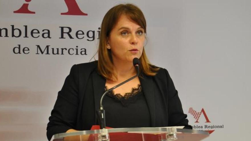 El PSOE acusa el Gobierno regional de decidir &quot;envenenar el aire&quot;