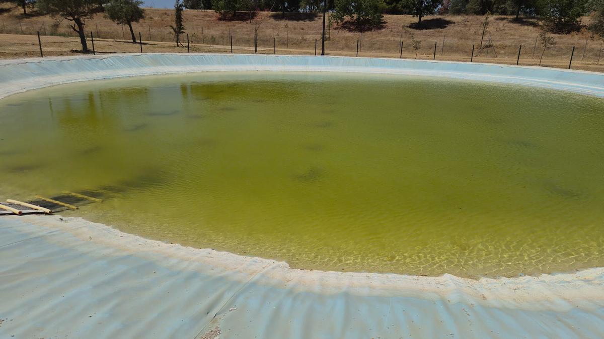 Balsa de agua en Huévar