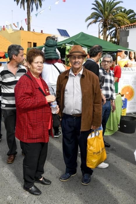 08-12-19 GRAN CANARIA. JINAMAR. JINAMAR. TELDE. Fiesta de la Inmaculade Concepcion y de la Caña Dulce de Jinamar, feria de ganado, procesión.. Fotos: Juan Castro.  | 08/12/2019 | Fotógrafo: Juan Carlos Castro