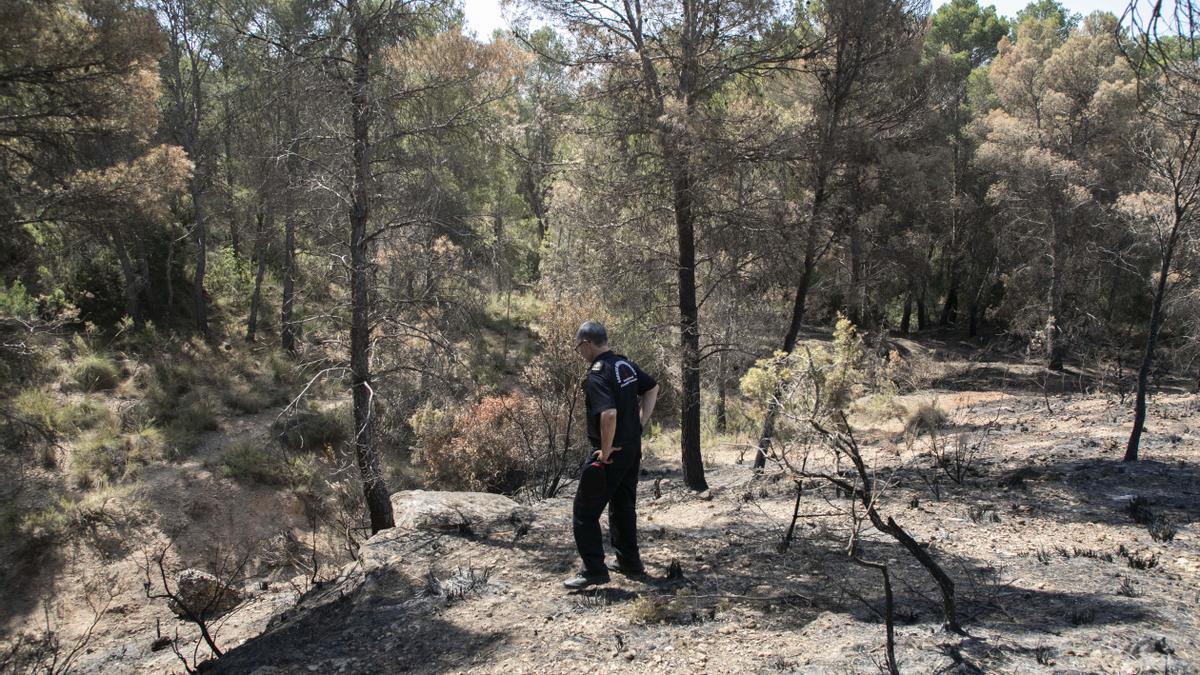 Iinvestigadores de incendios trabajan en la zona de Venta del Moro calcinada por el fuego.