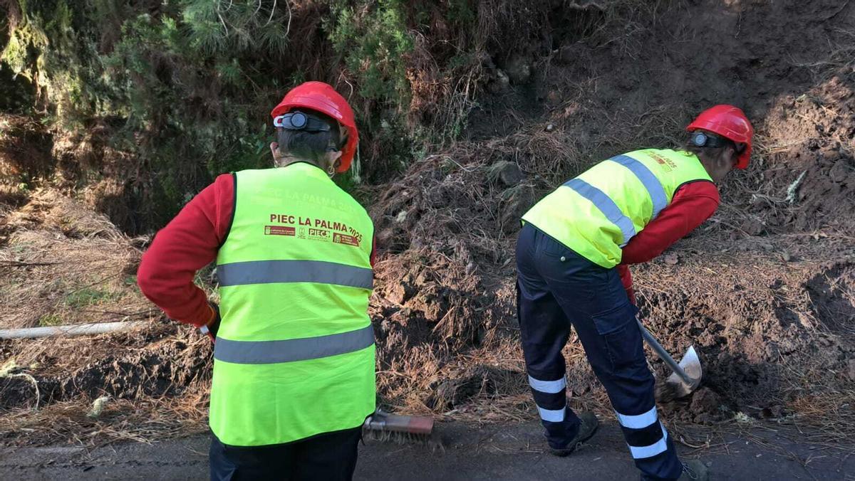 Dos personas trabajando en el monte de La Palma