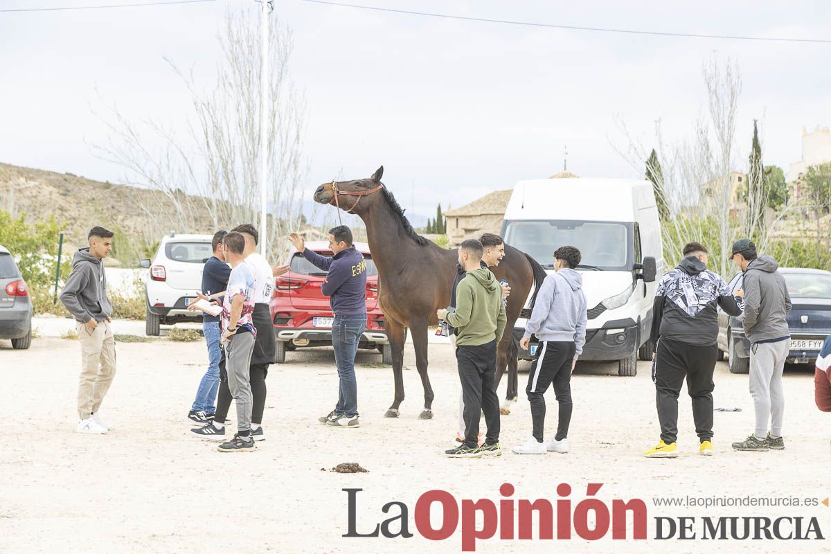 Control veterinario a los equinos que participaran en el festejo de los Caballos del Vino