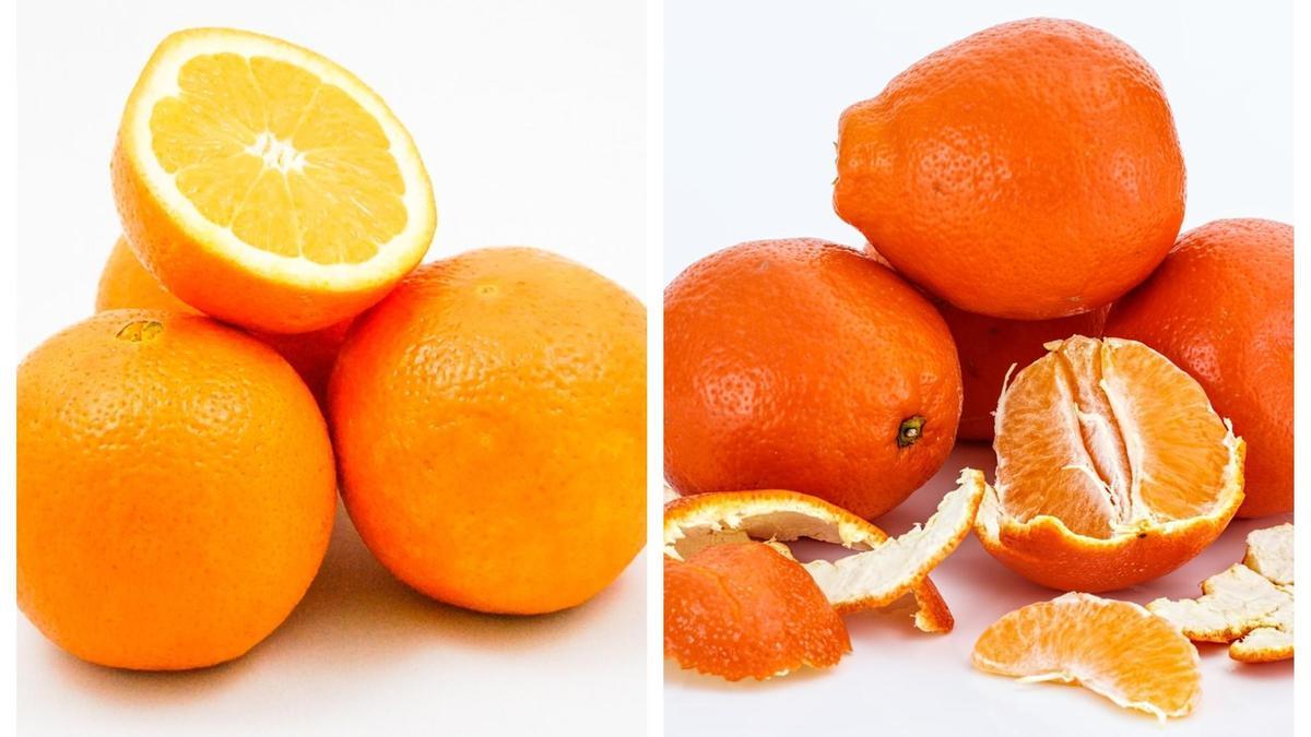 Las naranajas y las mandarinas, una fruta ideal para consumir en estas fechas.