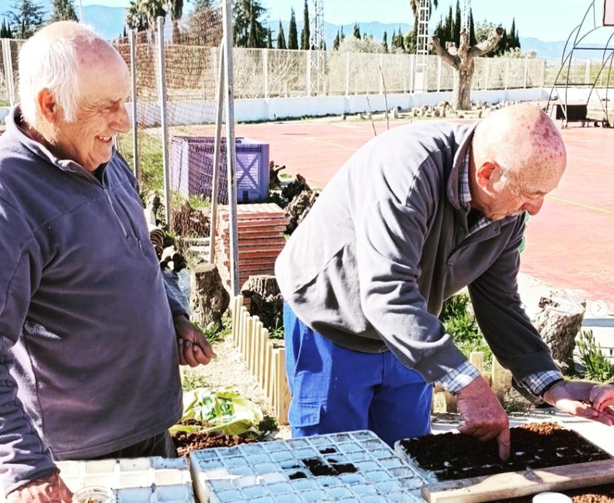 Dos agricultores que han colaborado el alumnado y el colegio de Quatretonda en la creación del huerto escolar.
