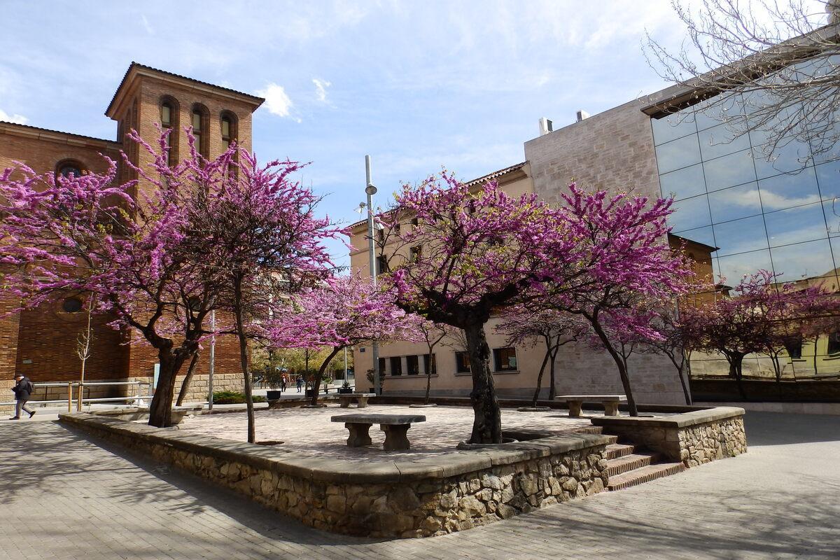 ¿Dónde vivir en Cornellà?