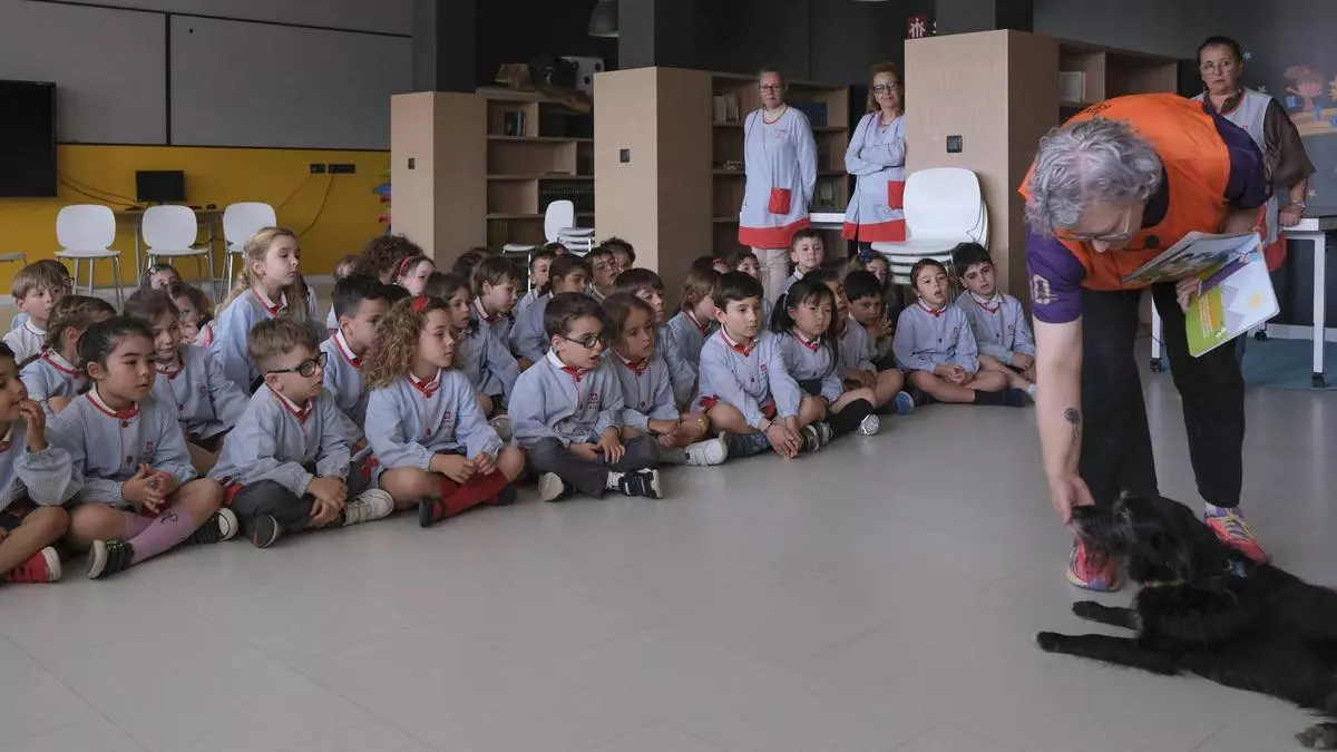 Robin, el «profe» canino que se cuela en las aulas o en las residencias de mayores... y consiguió volver hacer hablar a Inés