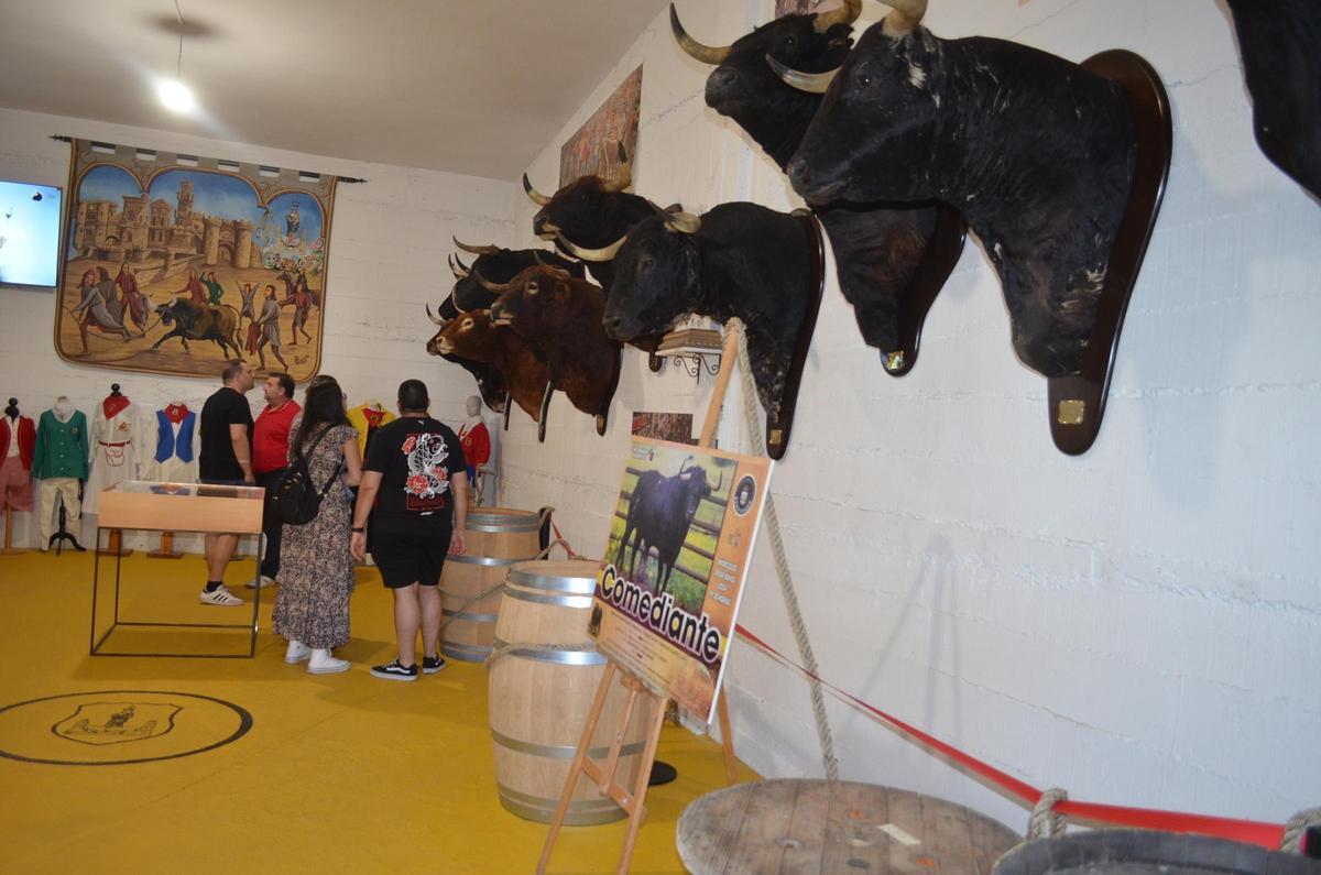Exposición sobre las Fiestas del Toro. / E. P.