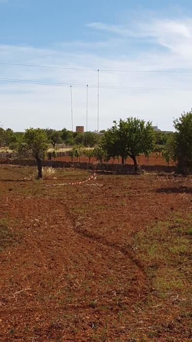 Una grúa rompe un cable de alta tensión y deja sin luz a una parte del pueblo de Algaida