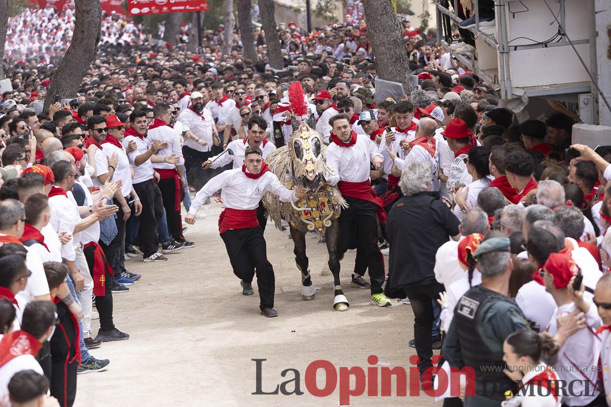 Así se ha vivido la carrera de Los Caballos del Vino en Caravaca