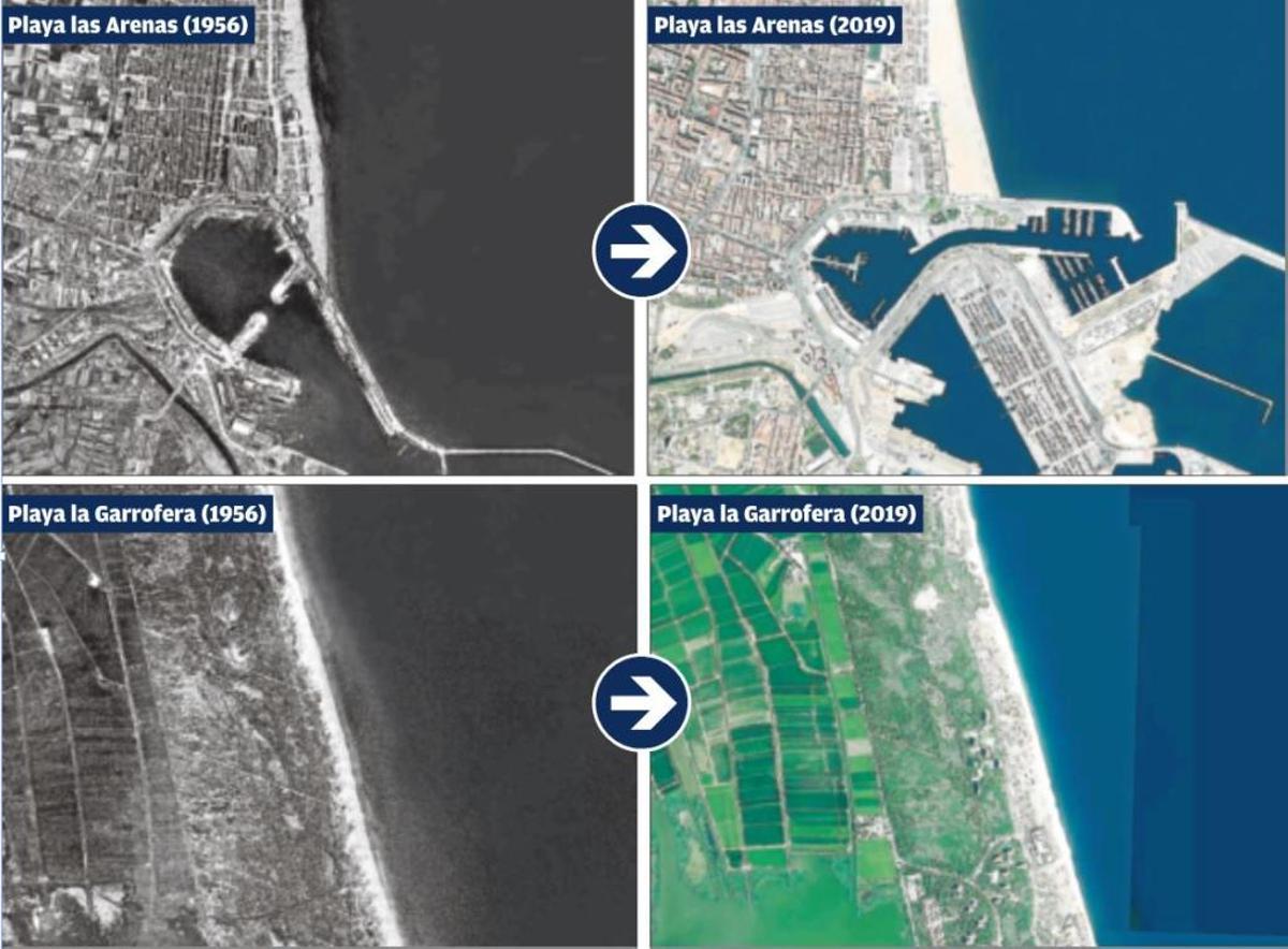 El director del Cartográfico pide salvar la Garrofera con el excedente de las Arenas