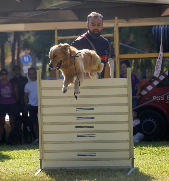 Feria Animalista en el cauce del Turia