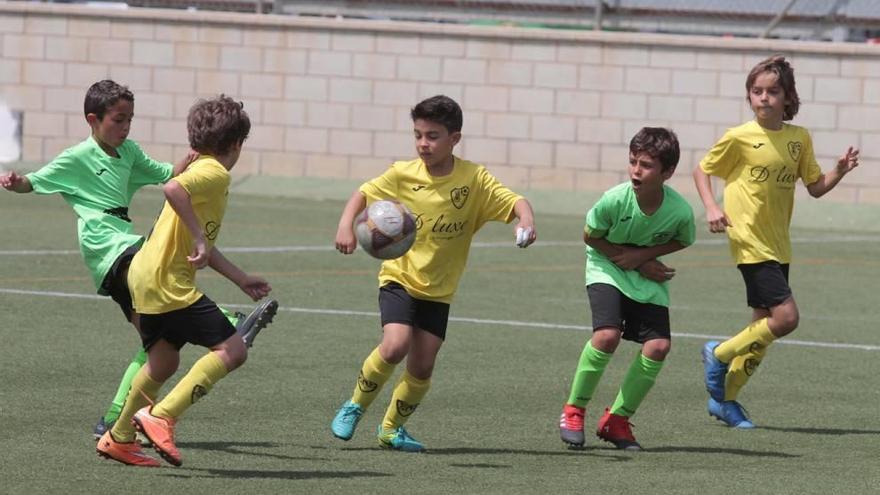 El Efesé hace un pleno en su trofeo