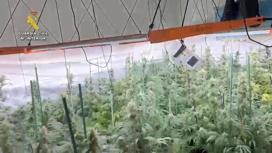 El Equipo Roca de Torrevieja desmantela cinco puntos de venta de droga en Murcia