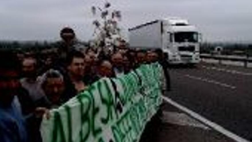 Algodoneros de Córdoba y Jaén cortan el acceso a la autovía