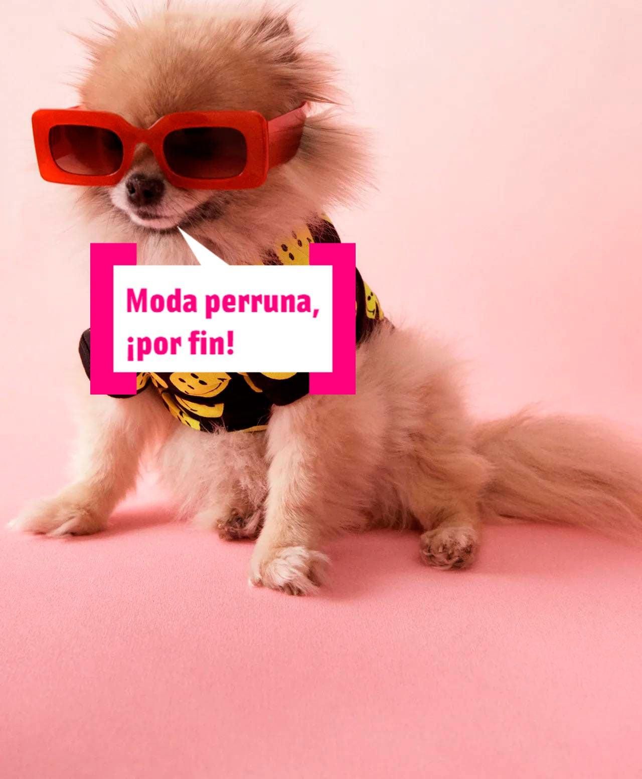 Pet Collection, de Zara