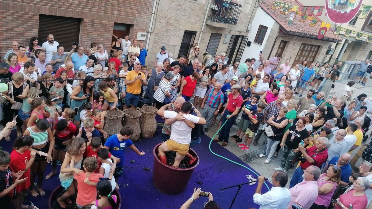 Tradicional pisada de la uva en la Fiesta de la Vendimia de Fermoselle. | Cedida