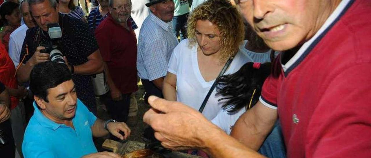 Las tradicionales &quot;poxas&quot; de animales de San Benito de Lores se suspenden con la romería. // Iñaki Abella