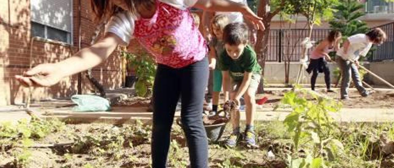 Talleres para pequeños agricultores