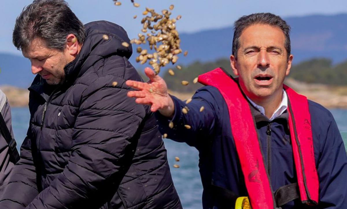 Alfonso Villares, sembrando almeja
en Cambados. | Iñaki Abella