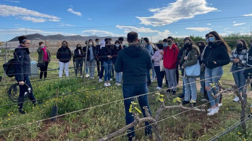 Viajes de estudios y excursiones vuelven a  los centros educativos