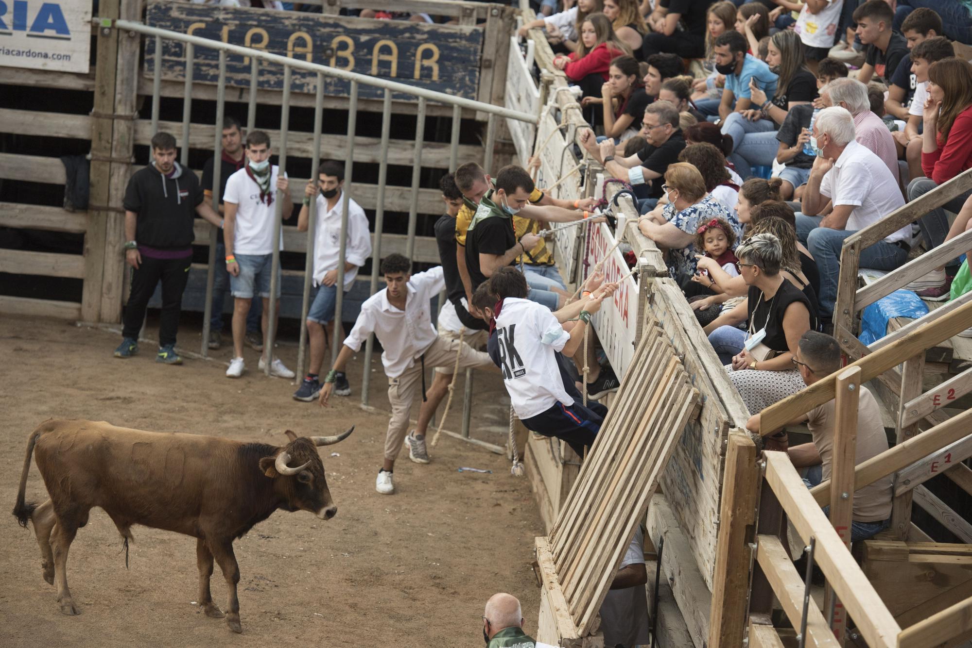 Les millors imatges del Corre de Bou de Cardona