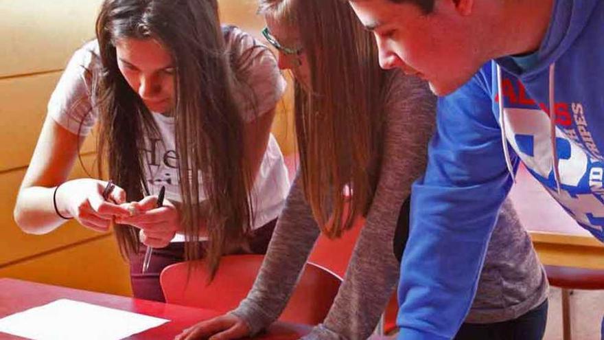 Alumnos zamoranos durante la Olimpiada de Geología.