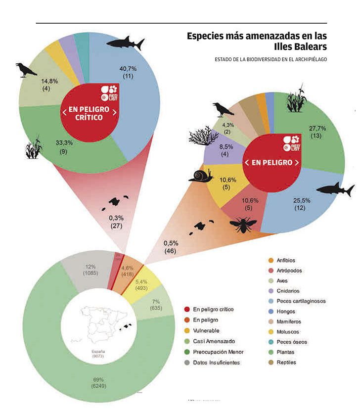 Especies más amenazadas en las Illes Balears