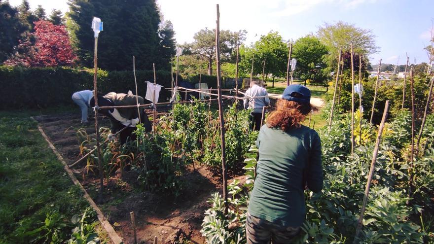 Culleredo saca a contratación el servicio de jardinería y zonas verdes por 2,19 millones