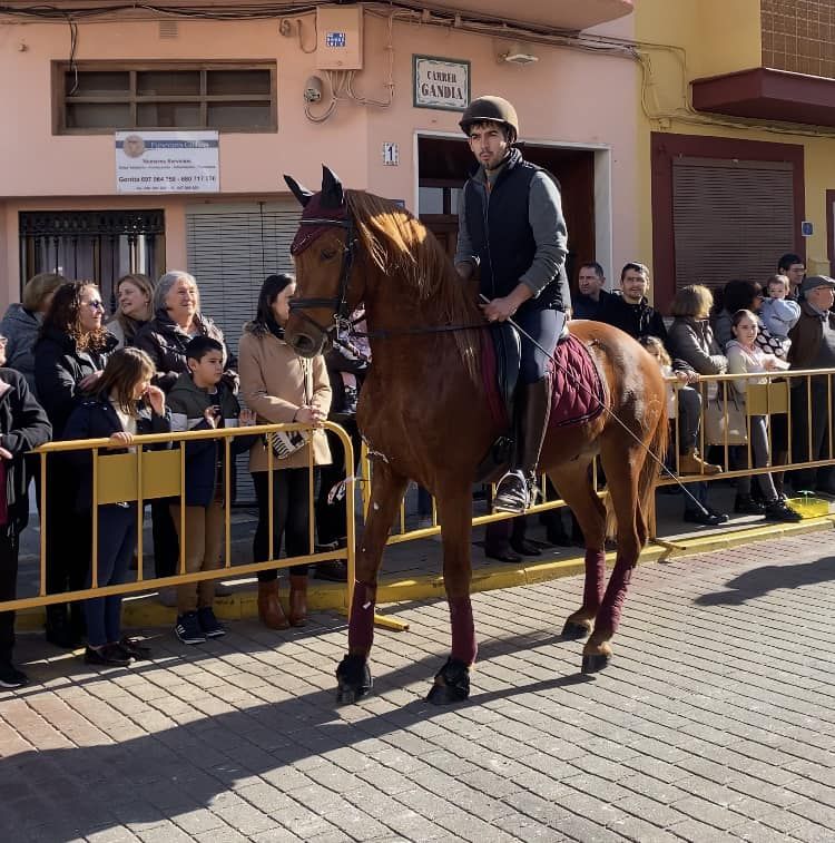 Daimús, Guardamar, Xeraco, l'Alqueria, Piles y Xeraco se vuelcan con Sant Antoni