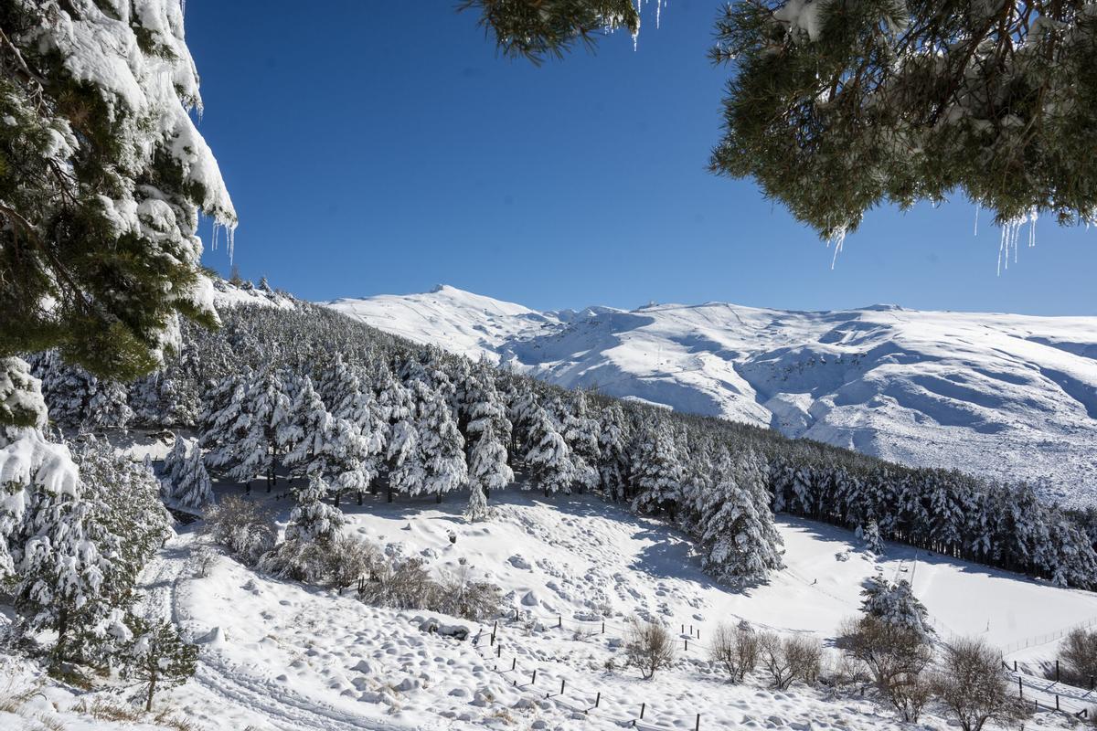 FOTODELDÍA MONACHIL (GRANADA), 26/12/2025.- La estación andaluza de Sierra Nevada encara el fin de semana con una amplia oferta esquiable, casi 70 kilómetros repartidos por más de 80 pistas de todas las áreas y los 1.200 de desnivel del dominio esquiable. Las últimas precipitaciones permiten a Cetursa, la empresa que gestiona la estación andaluza, mantener una amplia oferta, con una veinte remontes activos para disfrutar de nieve calidad polvo y espesores de hasta un metro y medio en áreas como el Veleta, Borreguiles o Loma de Dílar. EFE/Miguel Ángel Molina