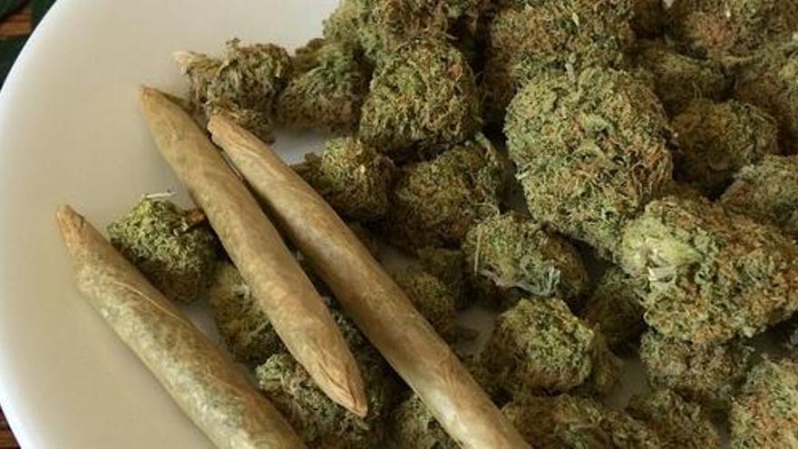 Els clubs podran dispensar tres grams de marihuana per persona al dia a Girona