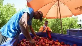 Trabajar a pleno sol causa un tercio de las muertes por cáncer de piel no melanoma