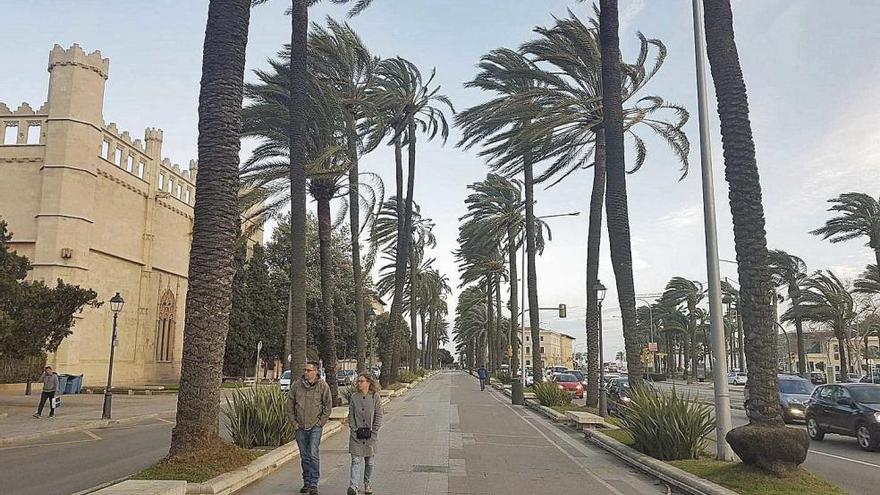 El tiempo para este lunes en Mallorca: Alerta amarilla por olas de hasta cuatro metros