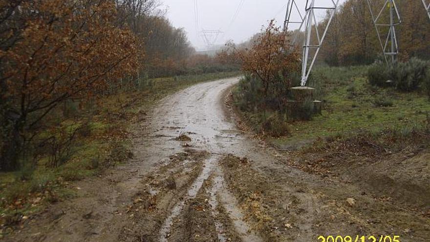 Camino denunciado en el paraje conocido como «Murella», que enlaza Requejo con San Martín del Terroso.