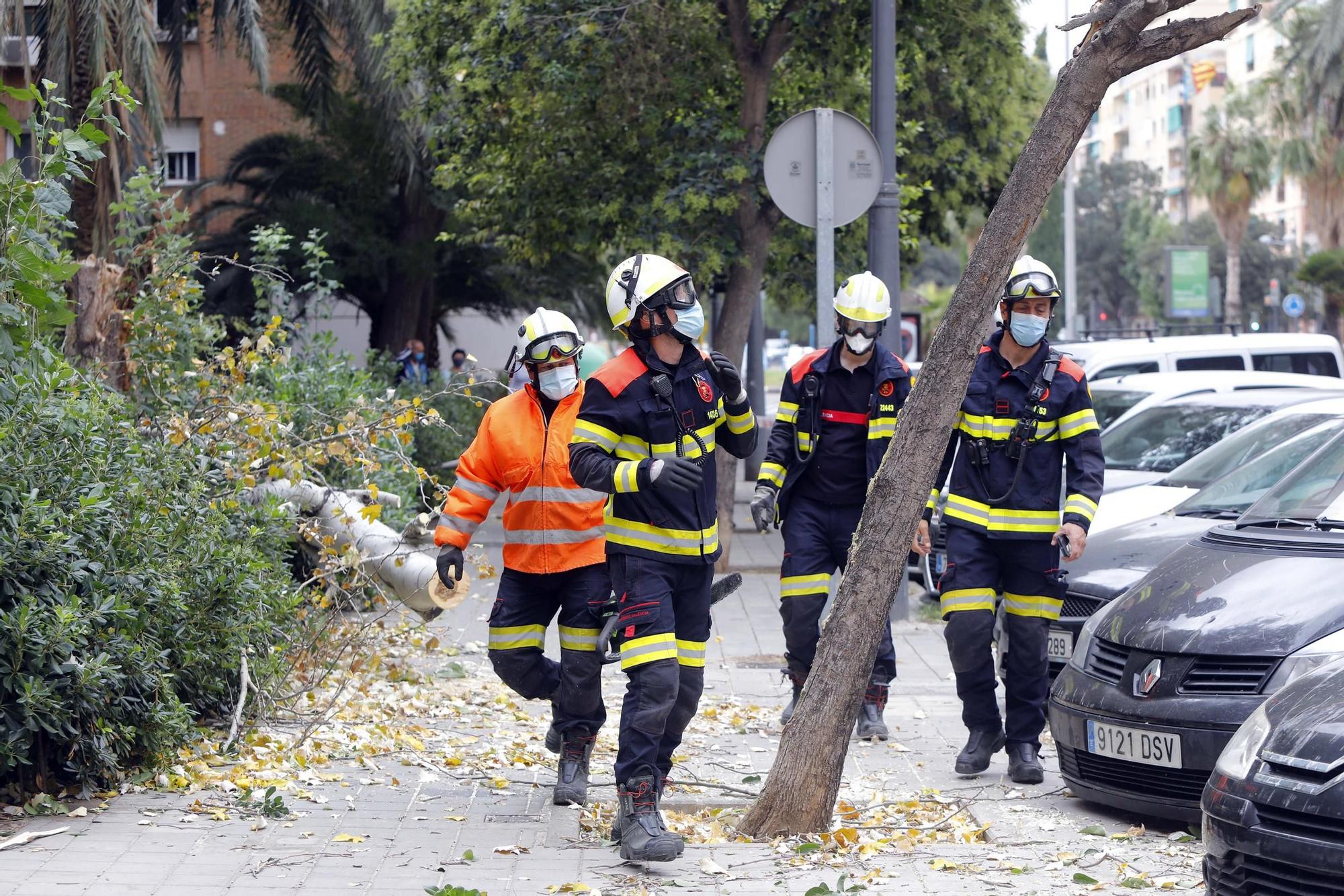 Daños provocados por el fuerte temporal de viento y lluvia en València