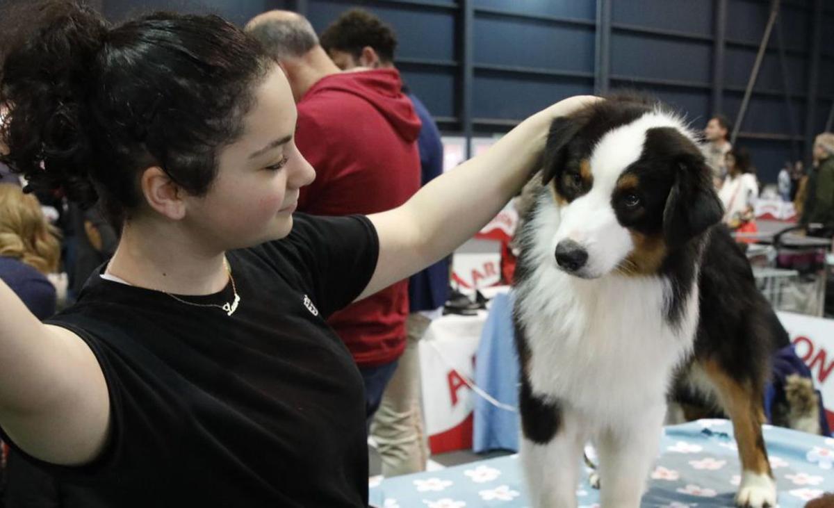 "Espacio Mascotas", una cita imprescindible si tienes un animal de compañía