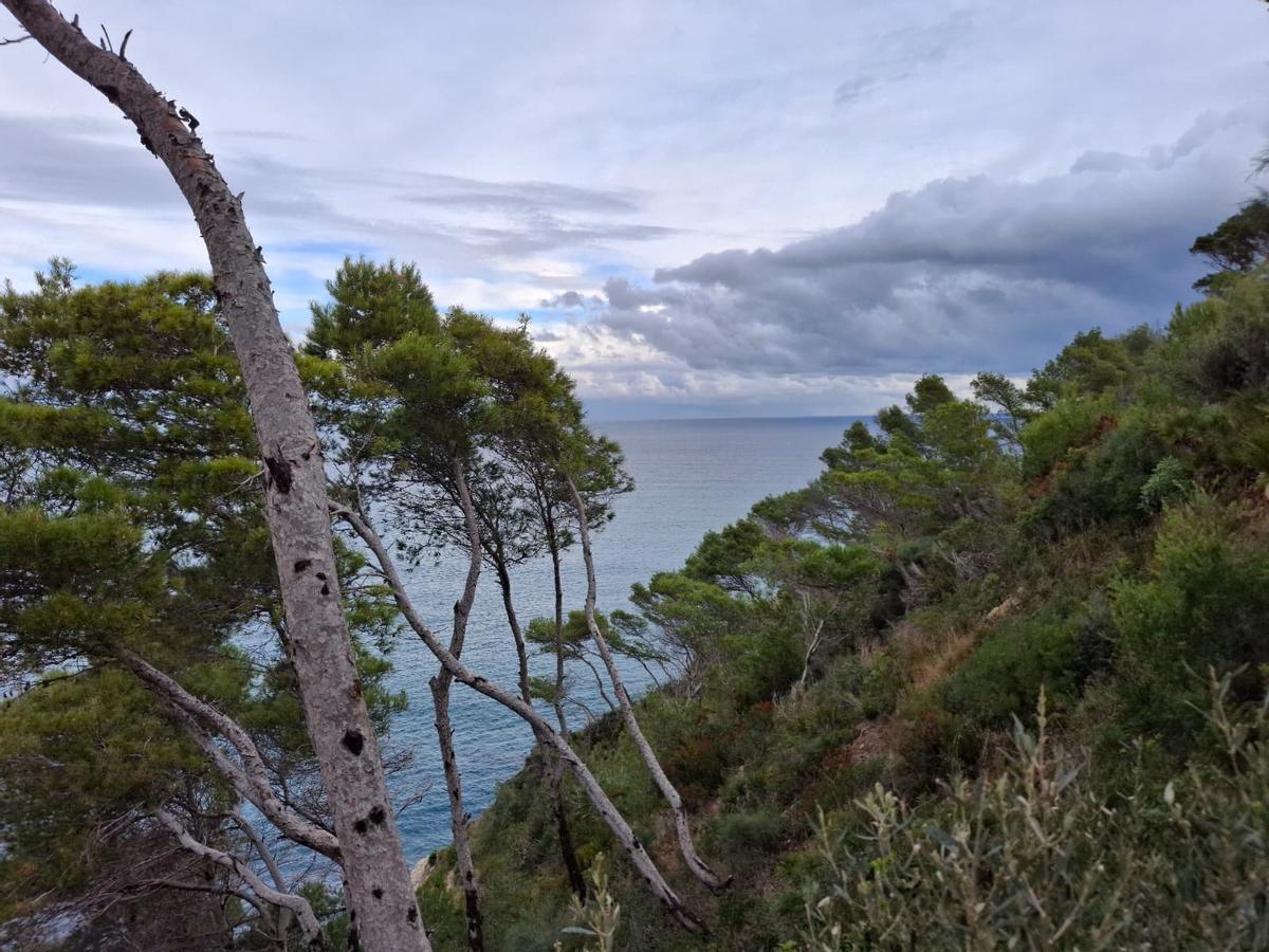 El acantilado de la Llobatera