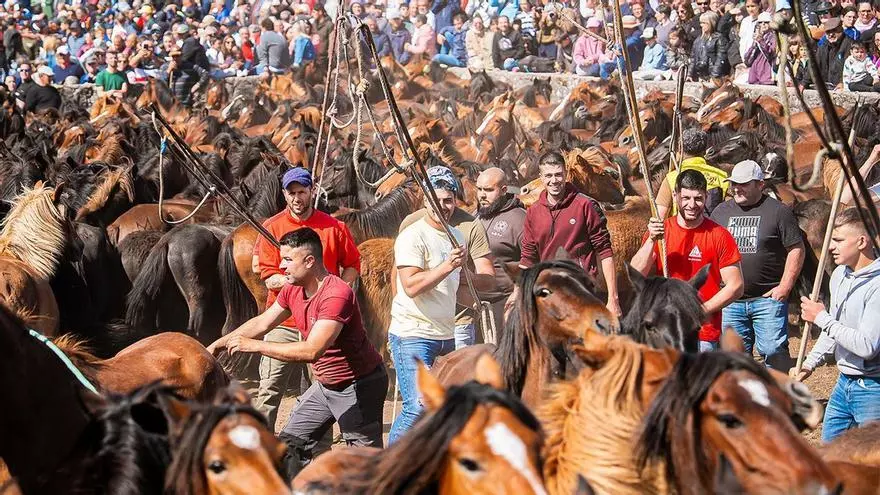 Cerca de 400 «burras» abren la temporada de curros en A Valga