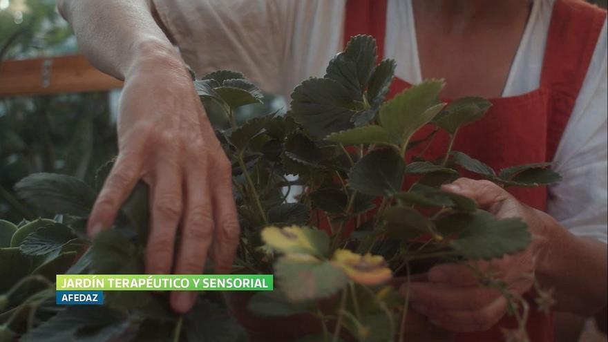 Teva premia a la Asociación de Familiares de Enfermos de Alzheimer de Zaragoza por su proyecto &#039;Jardín terapéutico y sensorial para personas con alzheimer y otras demencias&#039;.