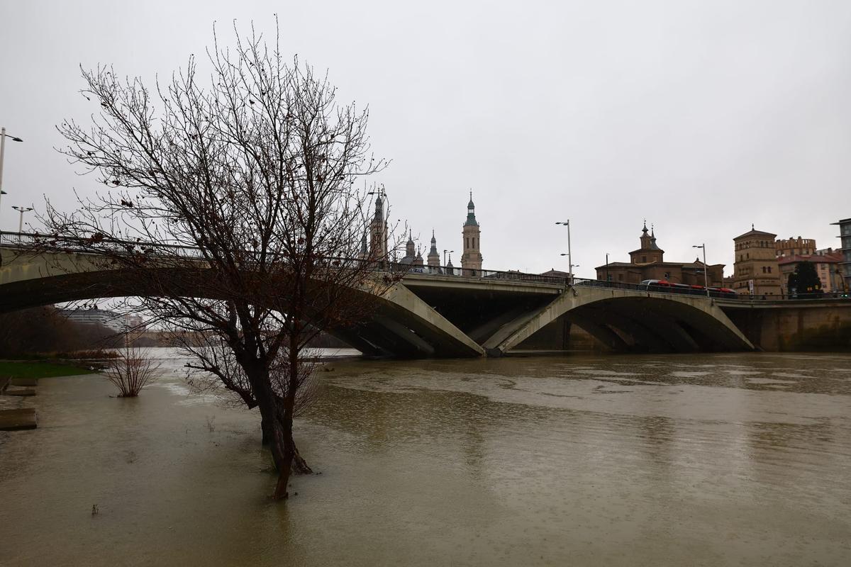 En imágenes I Así pasa el Ebro por Zaragoza tras las lluvias de los últimos días