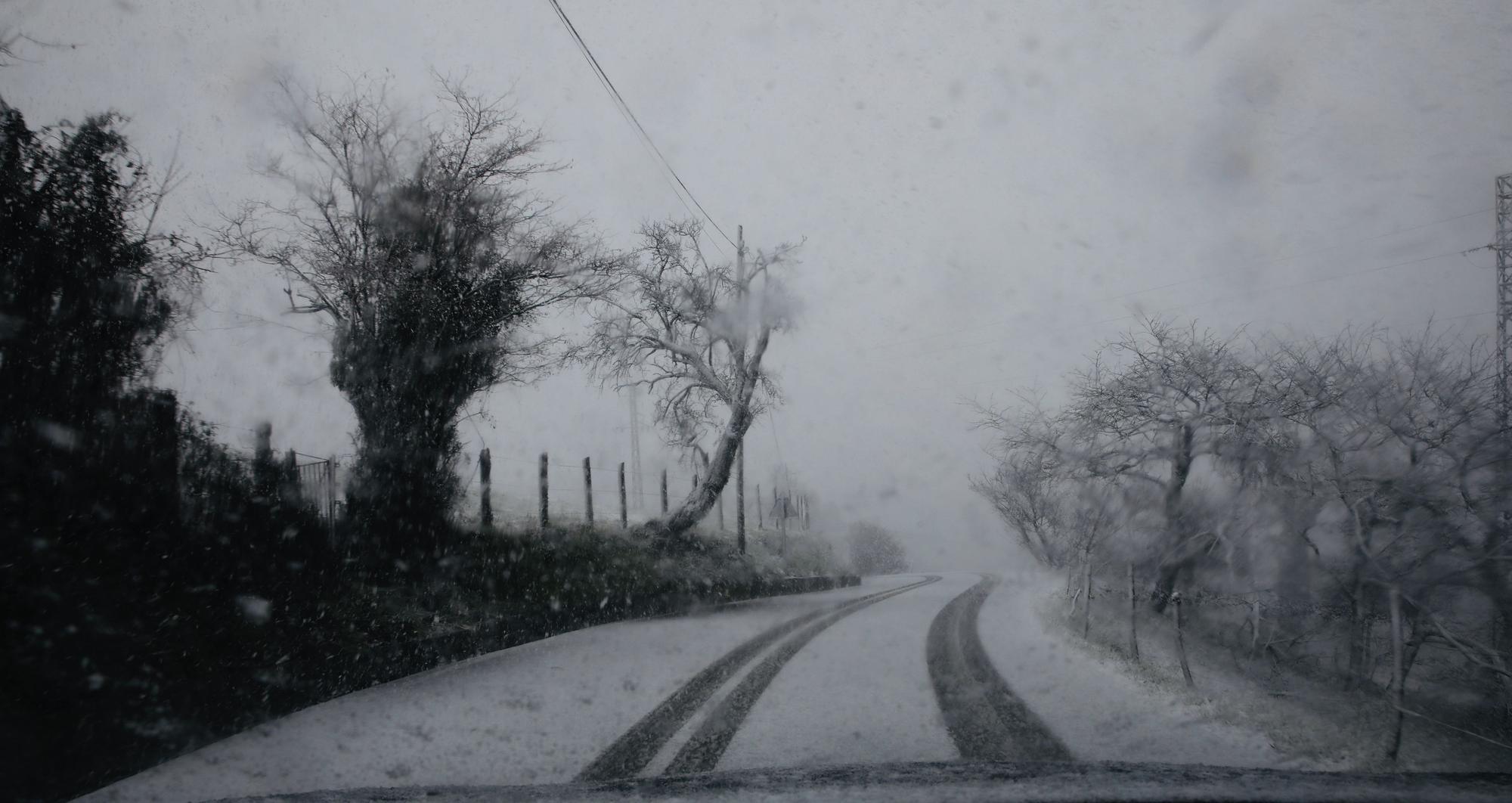 En imágenes: La borrasca Juliette llena de nieve parte de la zona rural de Gijón