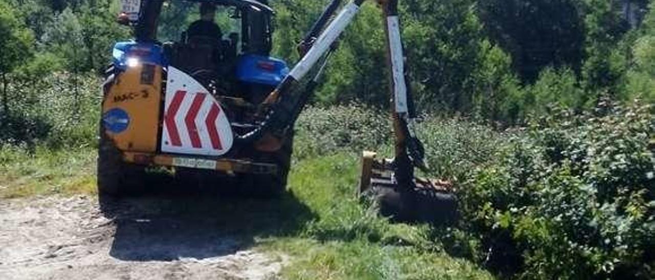 Erradicación de maleza en los accesos al paseo fluvial de Catoira.