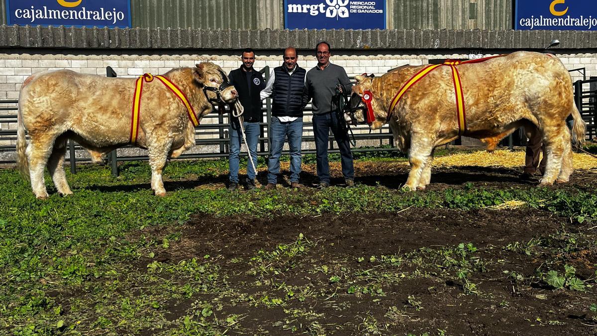 ORSON PA y NORBERTO, Gran Campeón y Campeón en la categoría de machos.