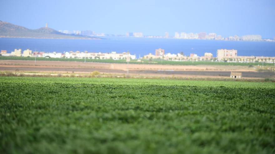 Más del 50% de los regantes han acreditado que no contaminan el Mar Menor