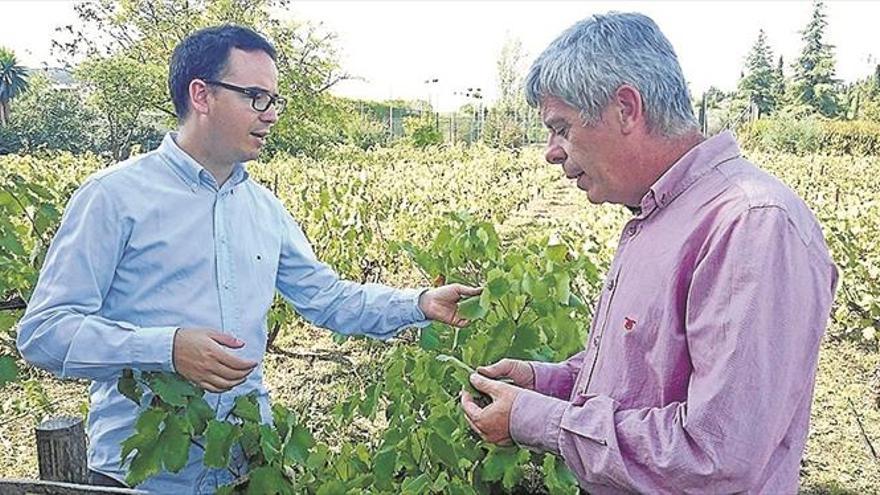 Robles da el salto a la alta cocina de la mano del chef cordobés Paco Morales