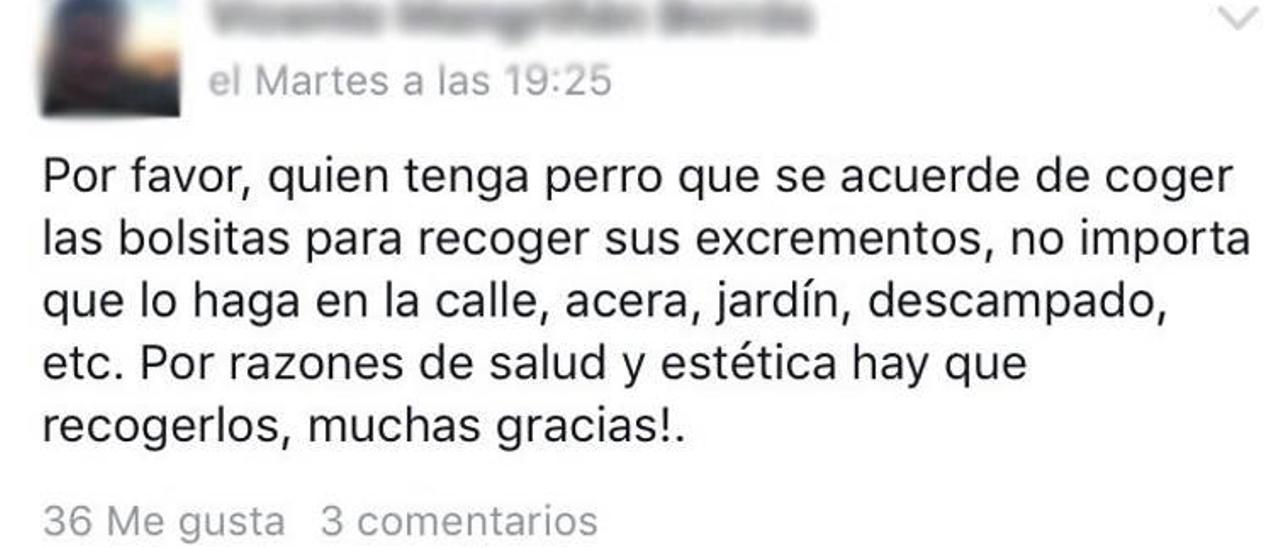 La Vall atiende las quejas e inicia una campaña contra las «cacas» de perros