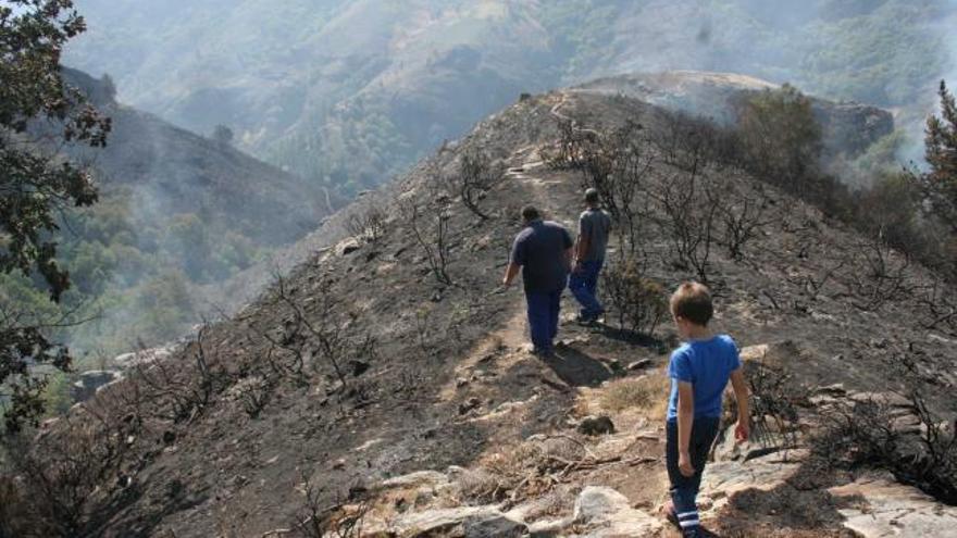 Óscar Castelao observa la zona quemada junto a su casa de Trasmonte.